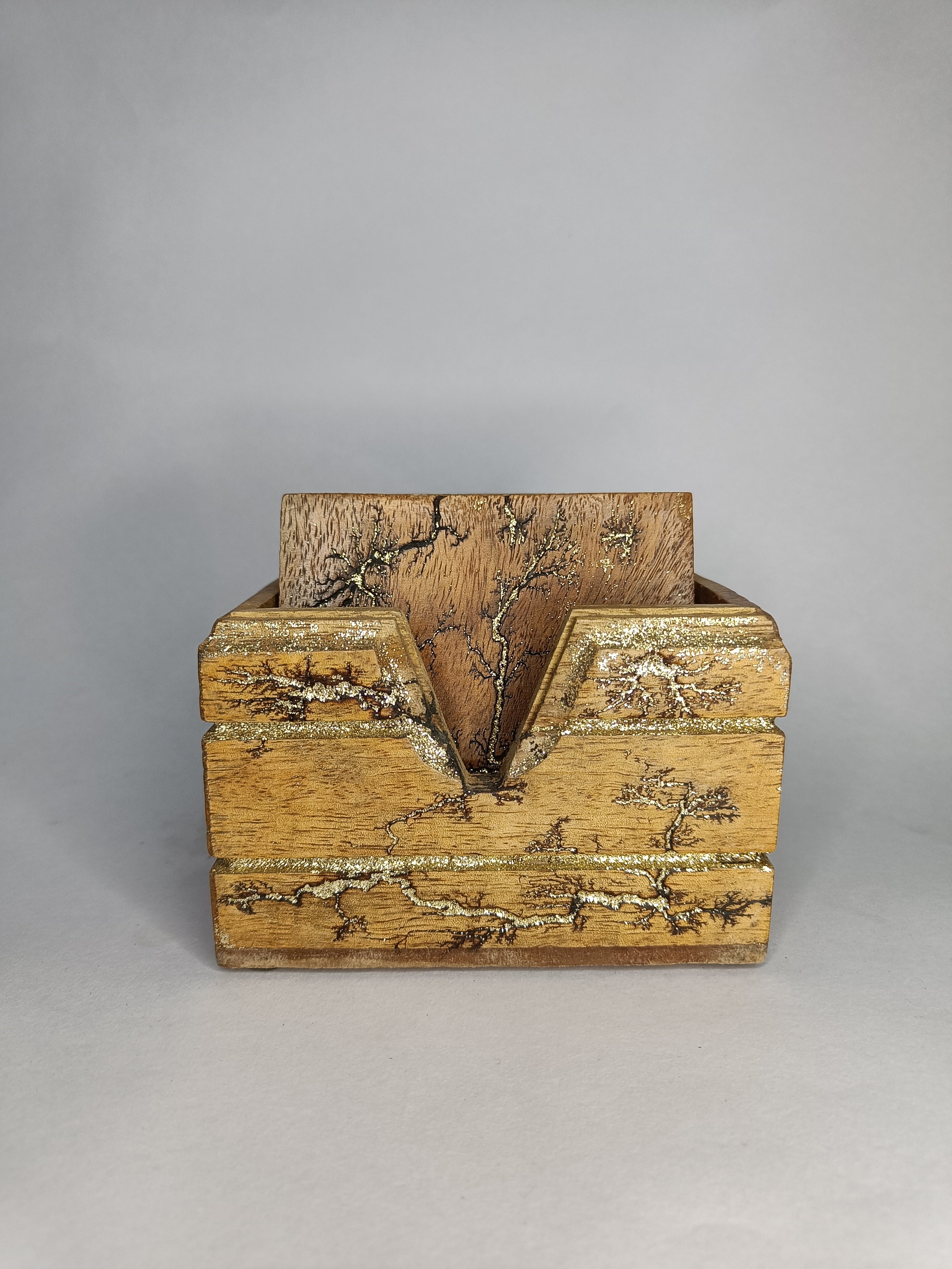 Golden Fractal (Lichtenberg Coaster)