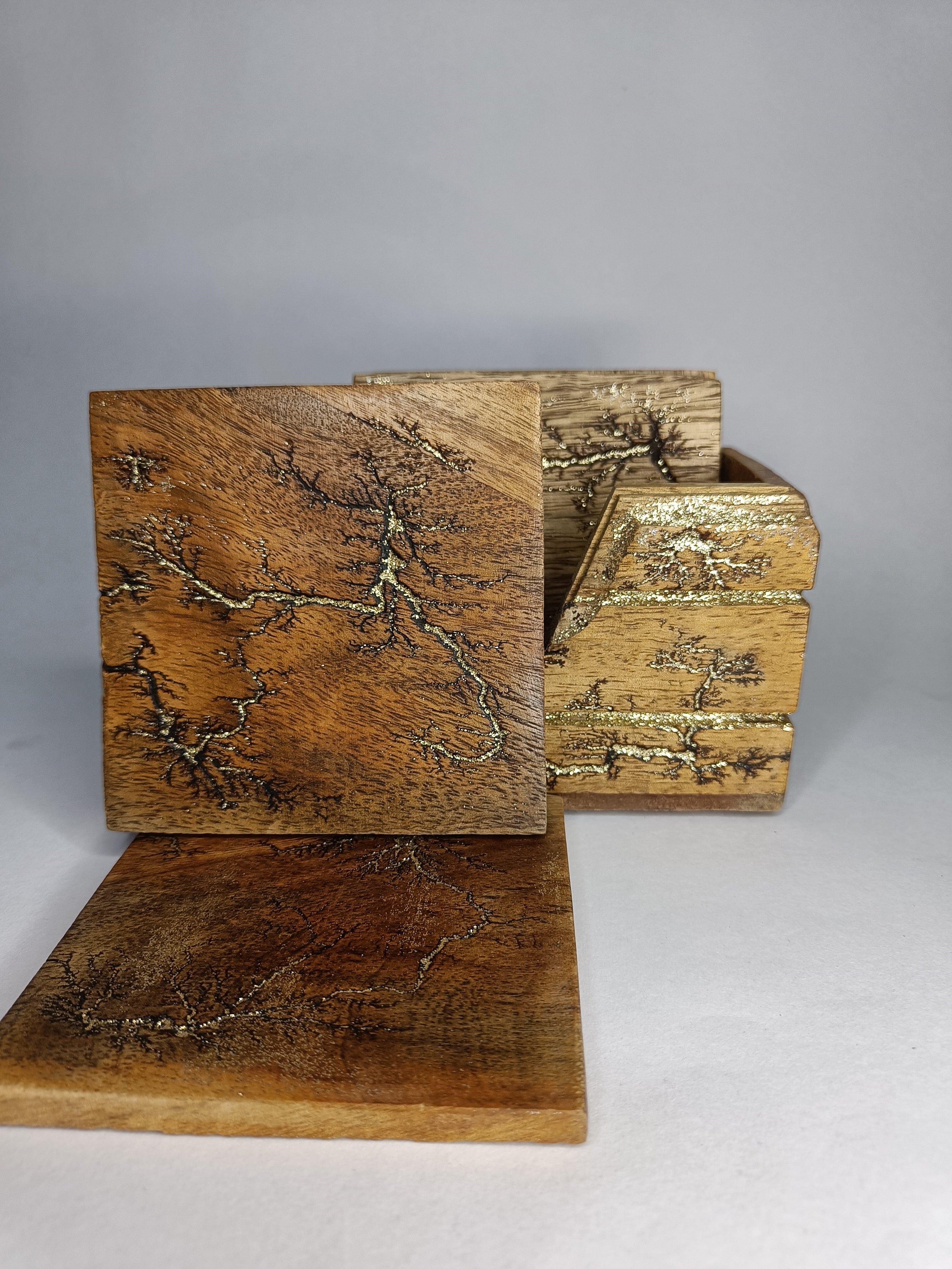 Golden Fractal (Lichtenberg Coaster)