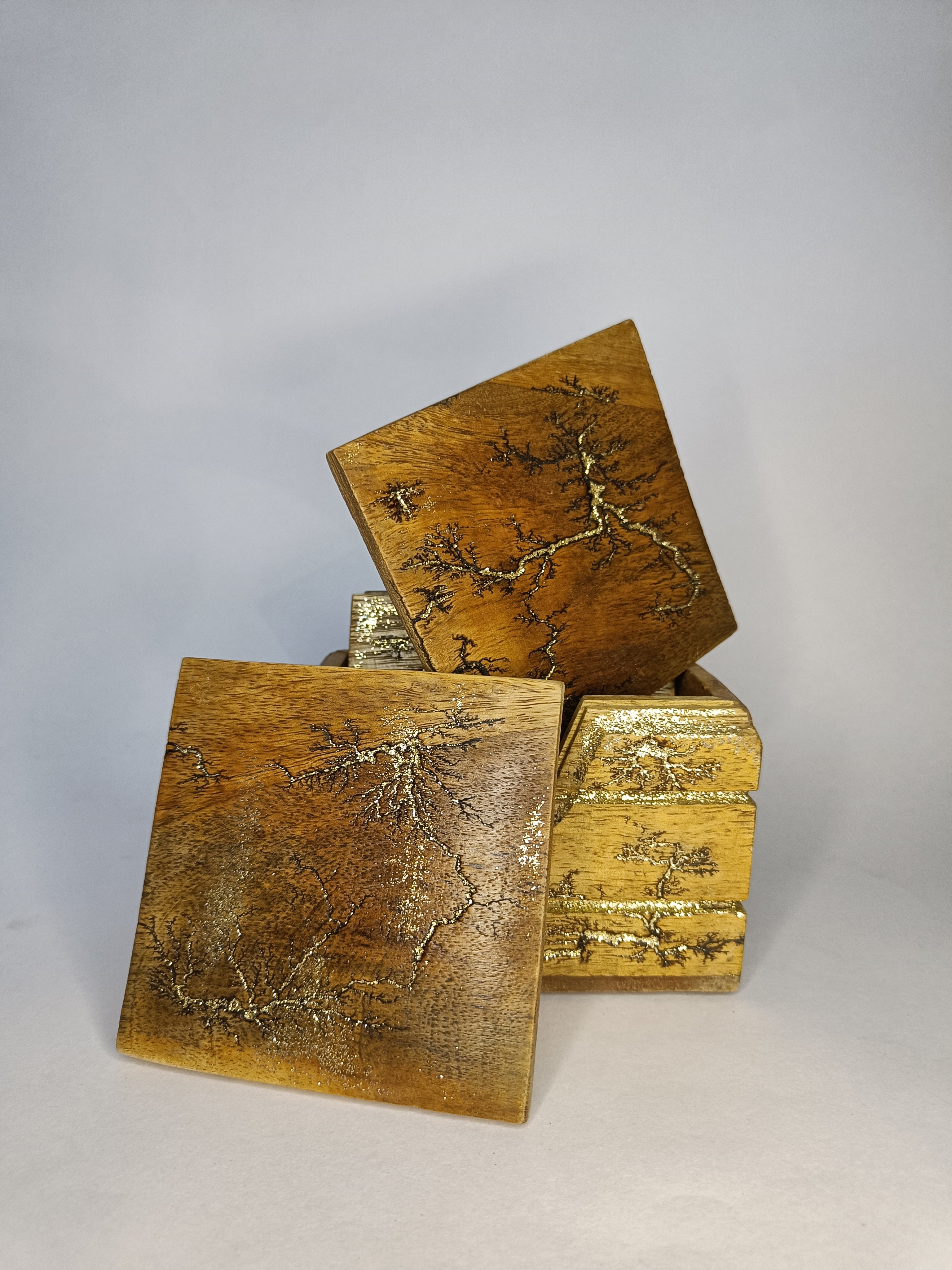 Golden Fractal (Lichtenberg Coaster)