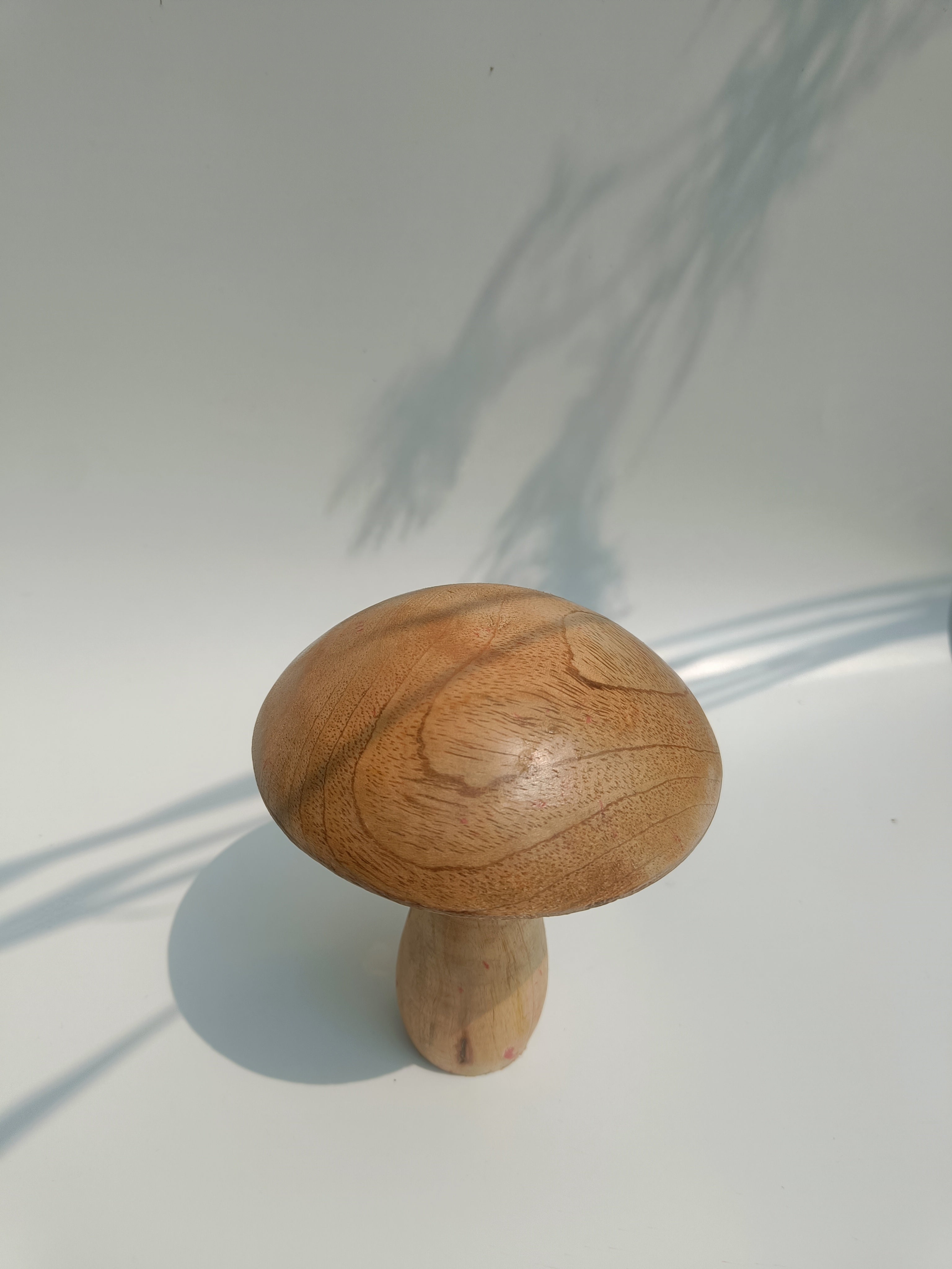 Classic Wooden Mushroom Décor