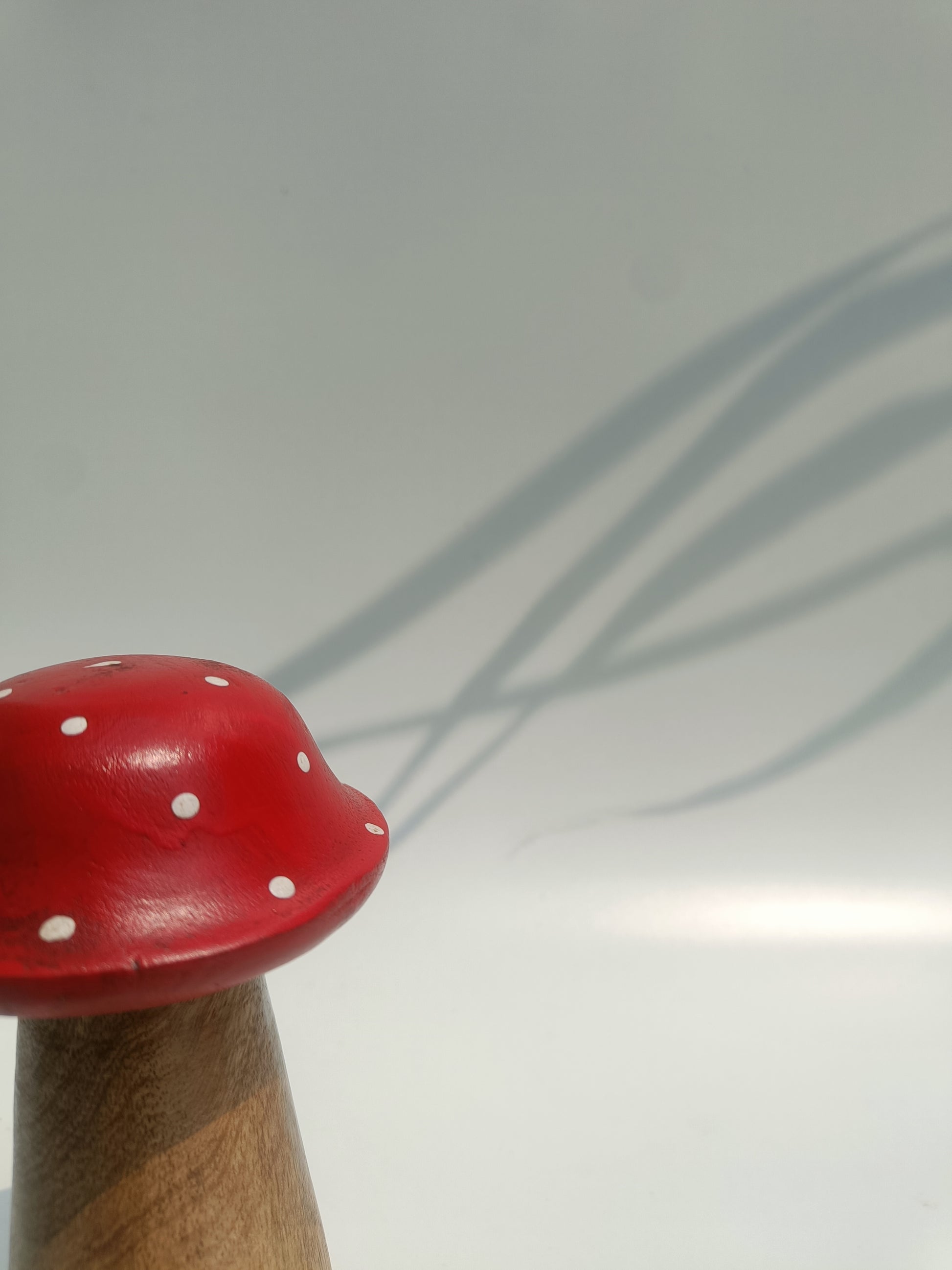 Wooden Toadstool Decor Set – Handcrafted Mushroom Pair (Set of 2)