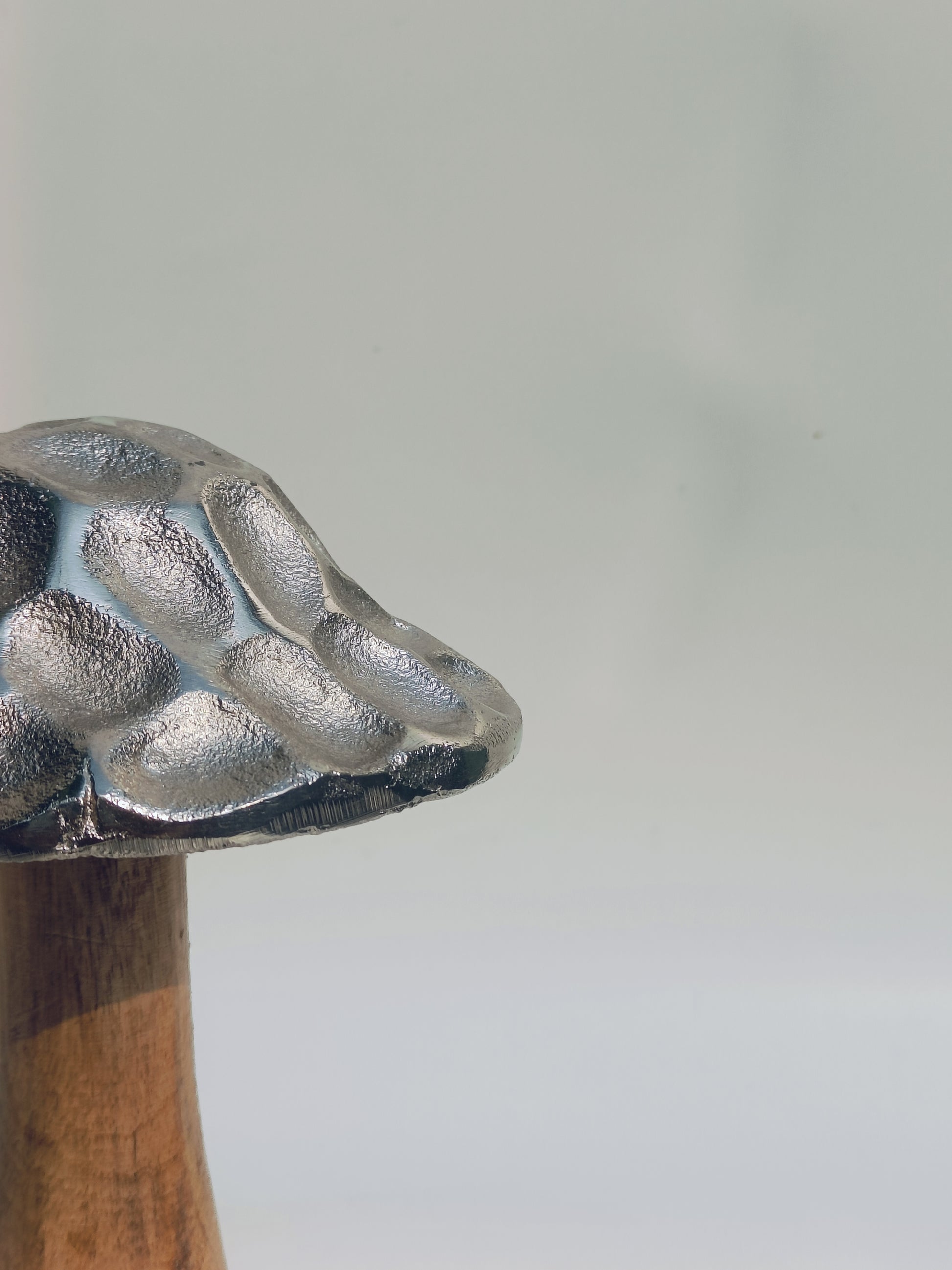 Textured Silver Cap Wooden Mushroom