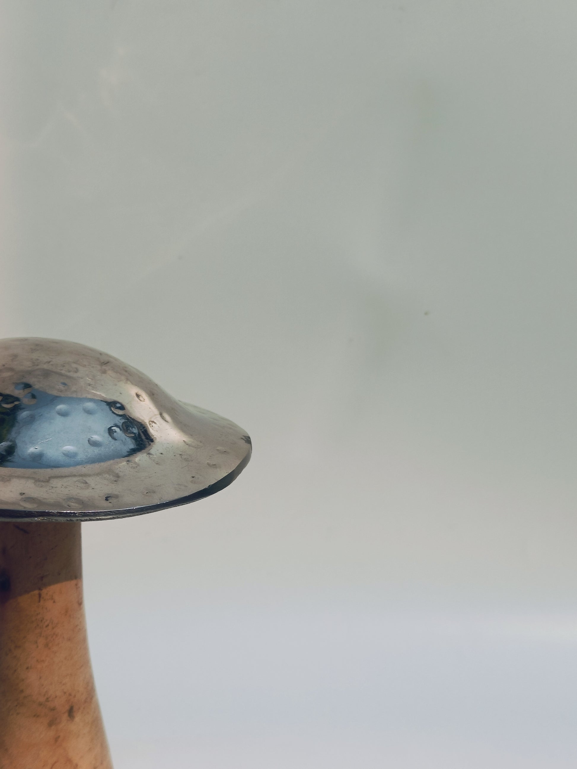 Hammered Silver Cap Wooden Mushroom