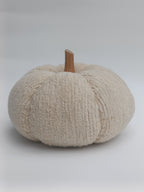 Plush Beige Pumpkin Cushion with Wooden Stem