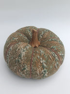 Printed Fabric Pumpkin Cushion with Wooden Stem