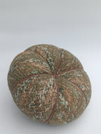 Printed Fabric Pumpkin Cushion with Wooden Stem