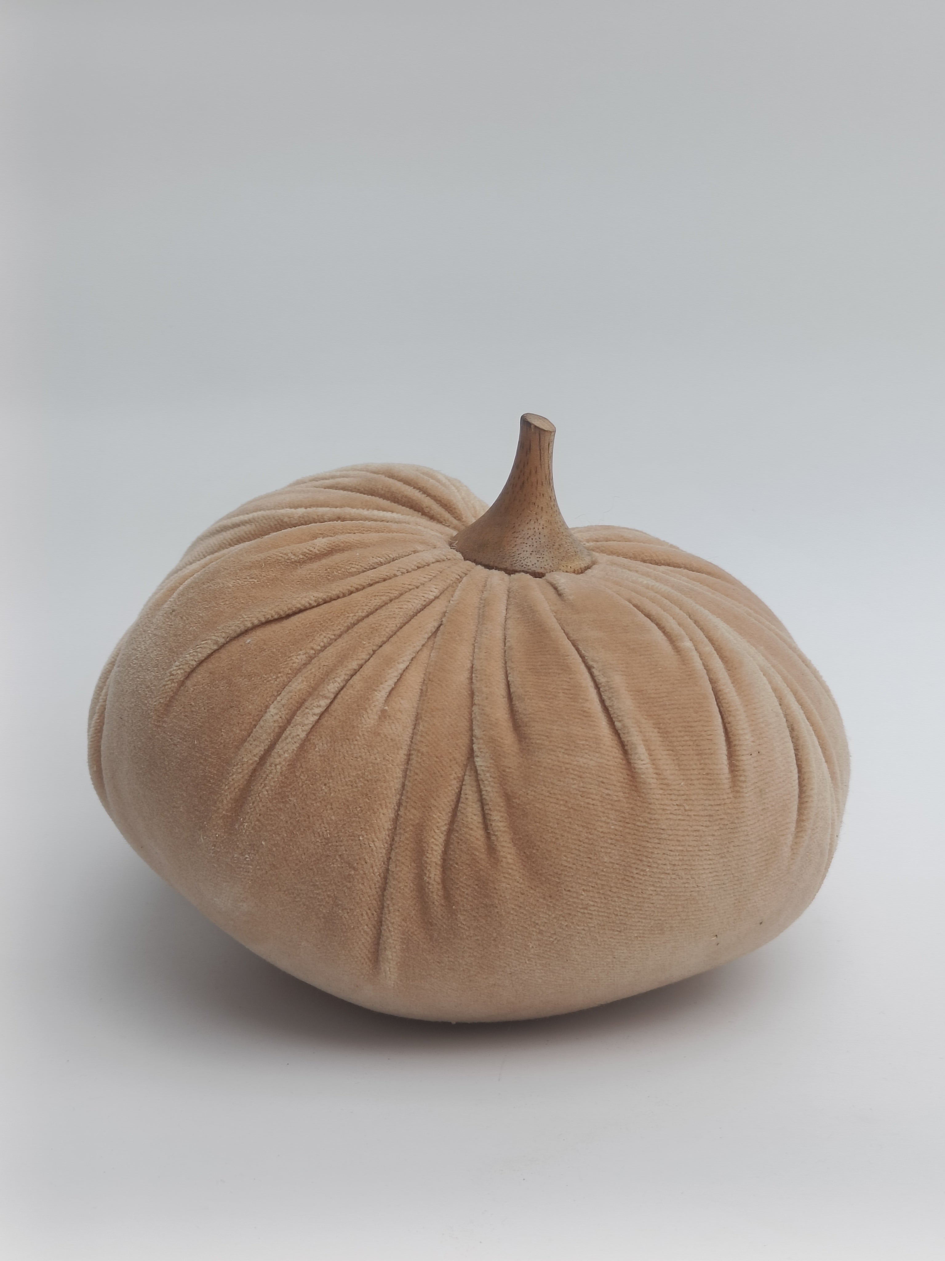 Velvet Pumpkin Cushion in Soft Beige with Wooden Stem