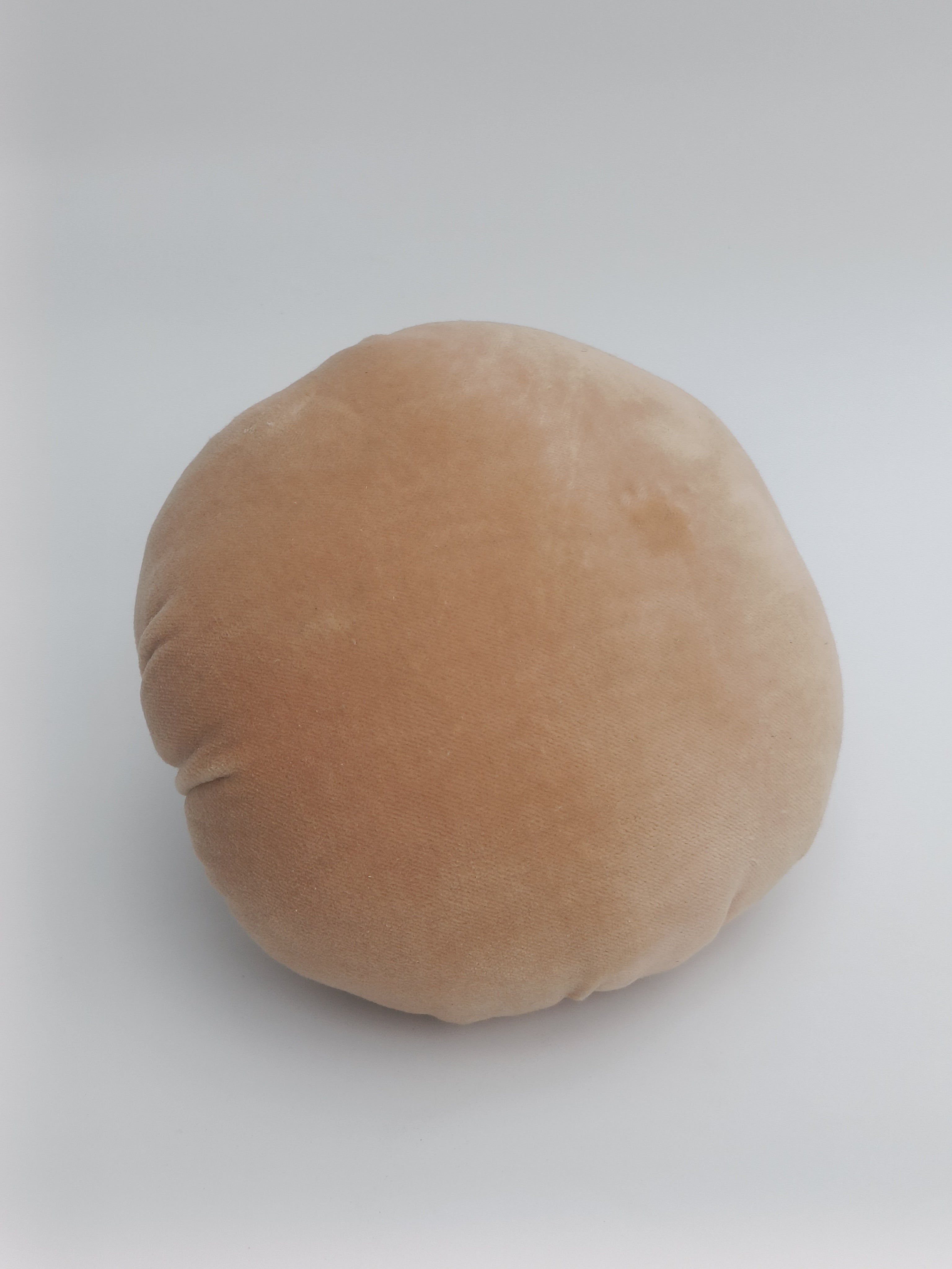 Velvet Pumpkin Cushion in Soft Beige with Wooden Stem