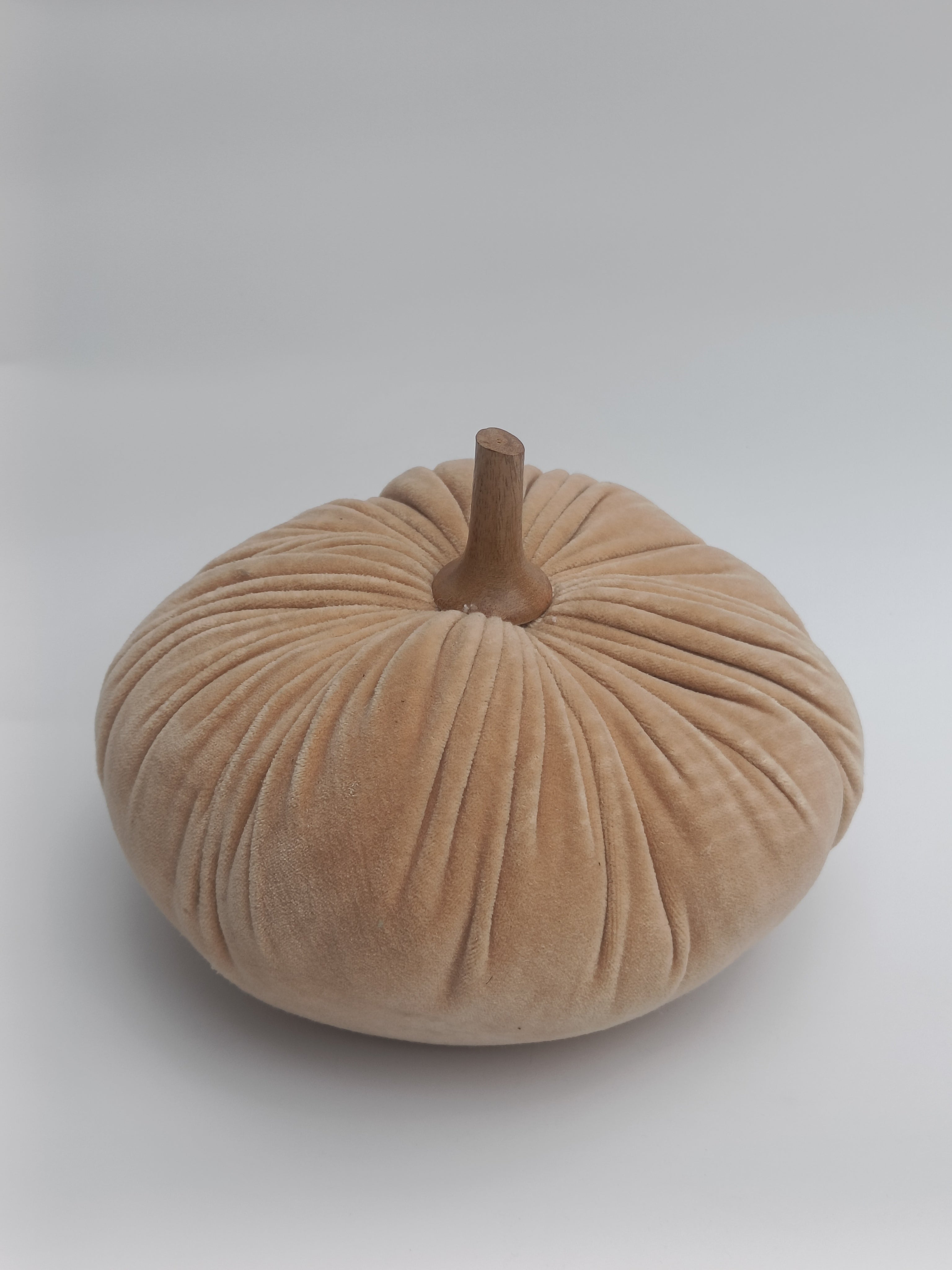 Velvet Pumpkin Cushion in Soft Beige with Wooden Stem