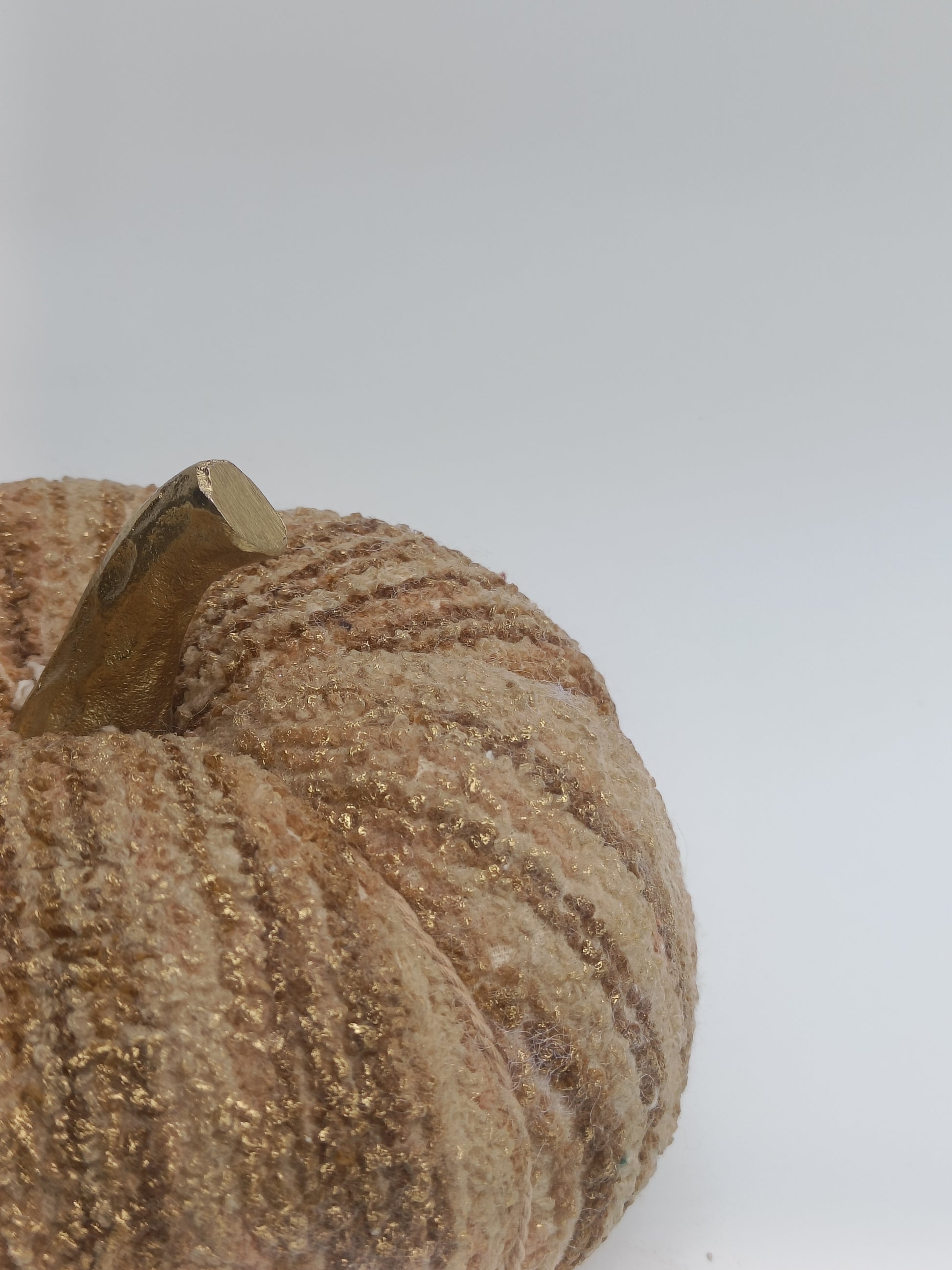 Golden Velvet Harvest Pumpkin