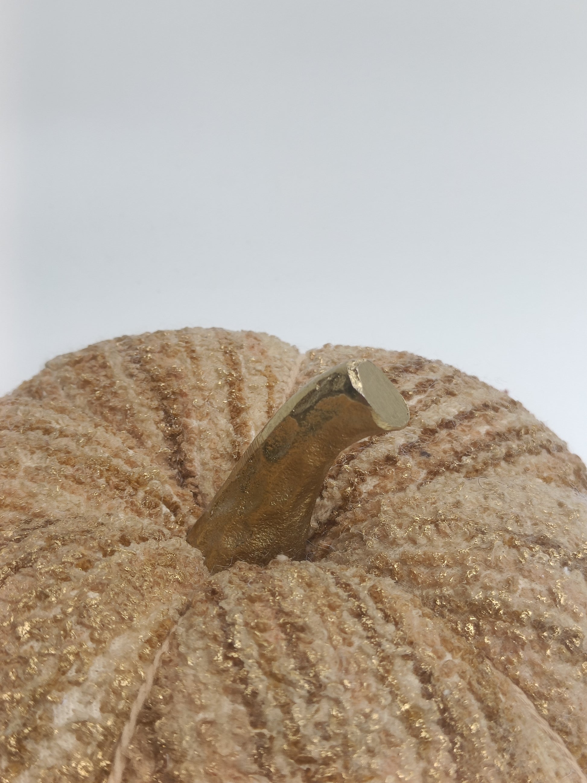 Golden Velvet Harvest Pumpkin
