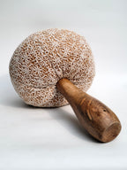 Wooden & Lace Mushroom Decor