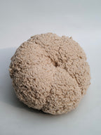 Cozy Textured Decorative Pumpkin