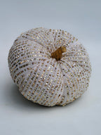 Velvet Sequin Pumpkin – Champagne Gold Glam