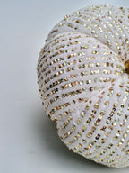 Velvet Sequin Pumpkin – Champagne Gold Glam