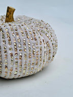 Velvet Sequin Pumpkin – Champagne Gold Glam