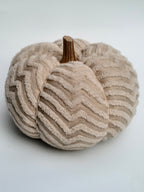 Textured Cream Pumpkin Cushion – Chevron Knit Home Accent