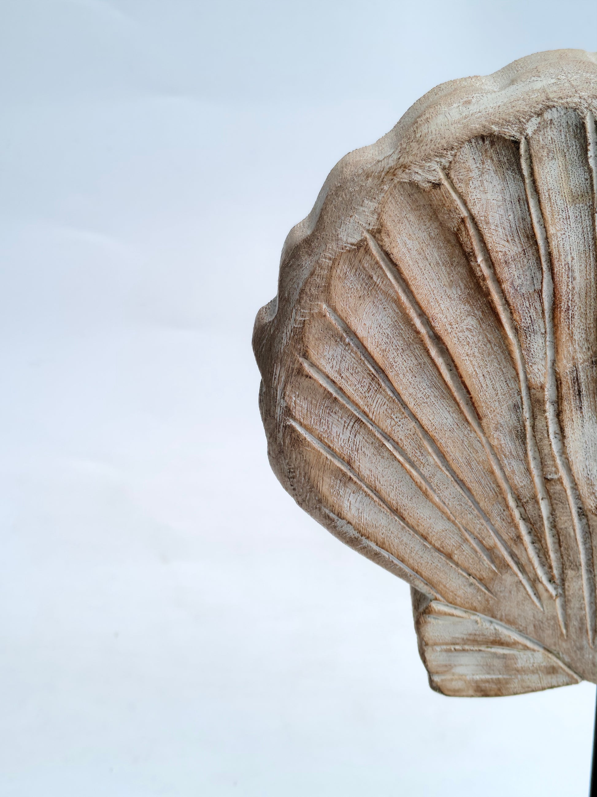 Distressed Wooden Seashell Sculpture on Stand | Coastal Beach House Decor