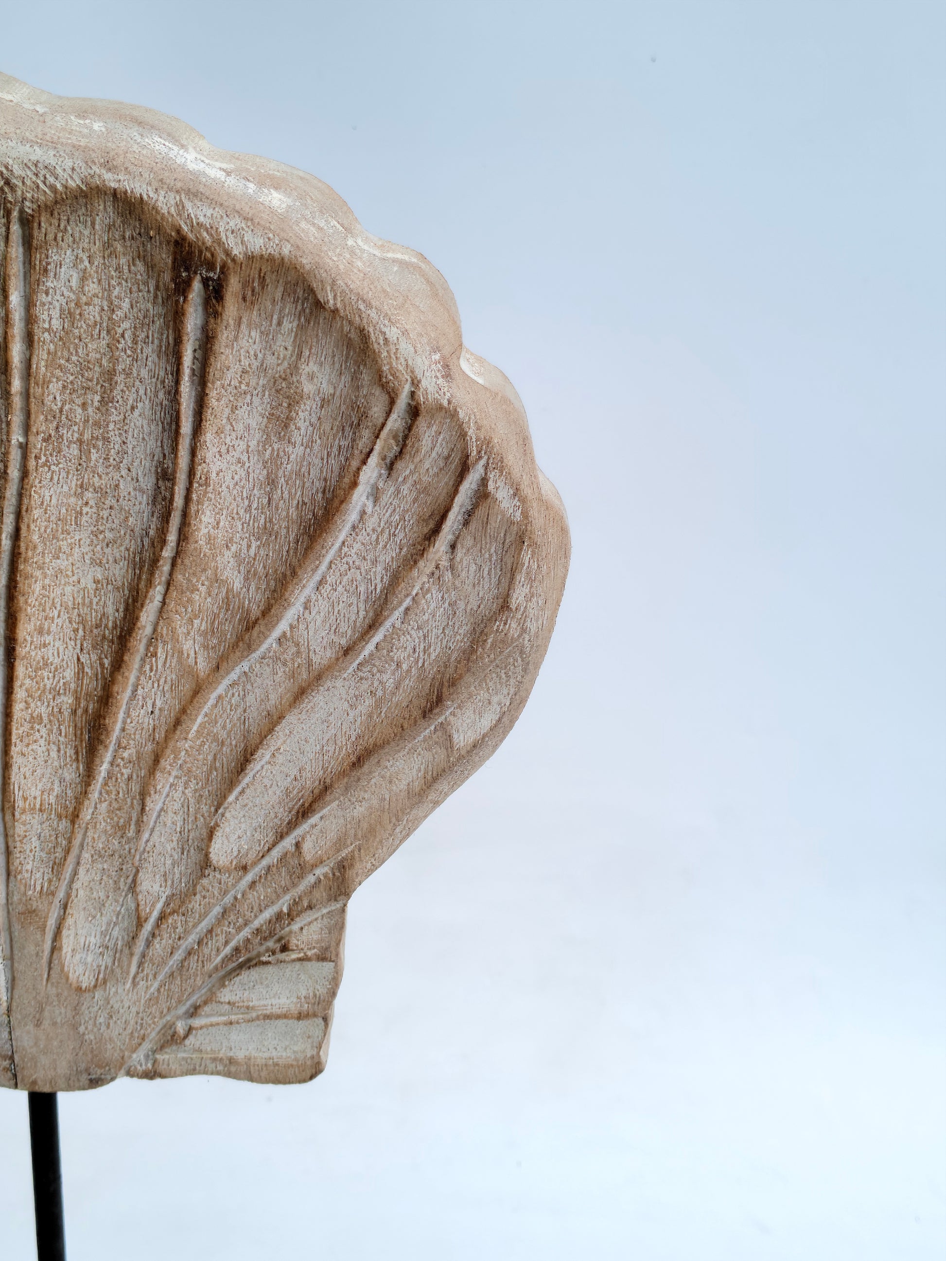 Distressed Wooden Seashell Sculpture on Stand | Coastal Beach House Decor