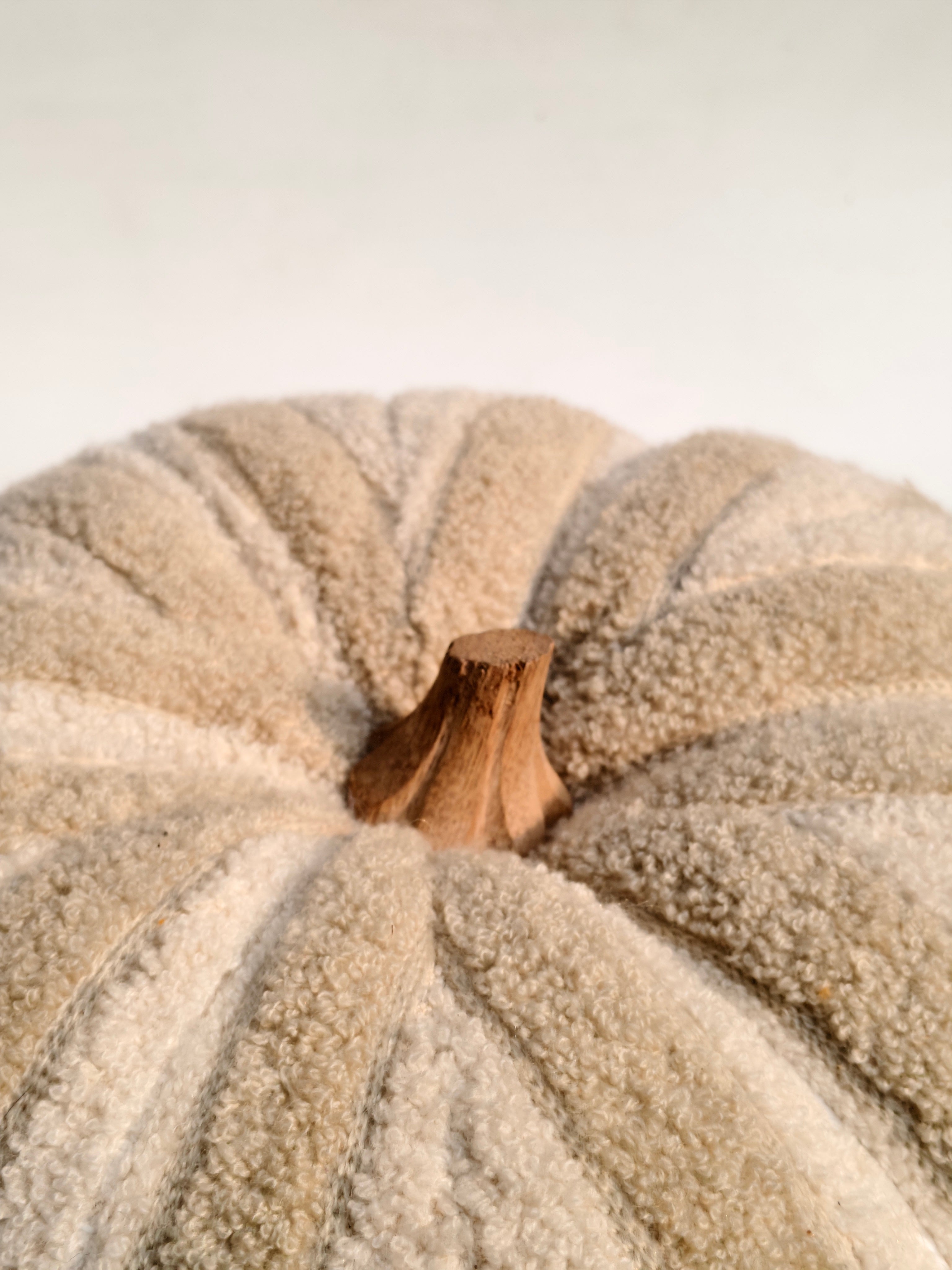 Cozy Textured Pumpkin Cushion – Beige & Cream