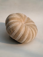 Cozy Textured Pumpkin Cushion
