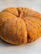 Extra-Large Speckled Fabric Pumpkin with Wooden Stem