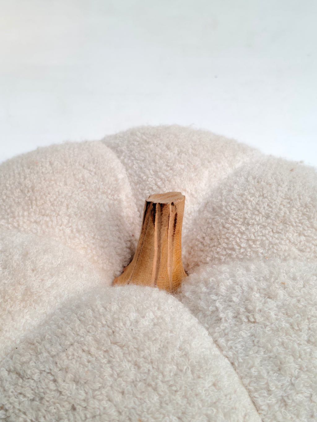 Handmade Off-White Teddy Pumpkin with Wooden Stem