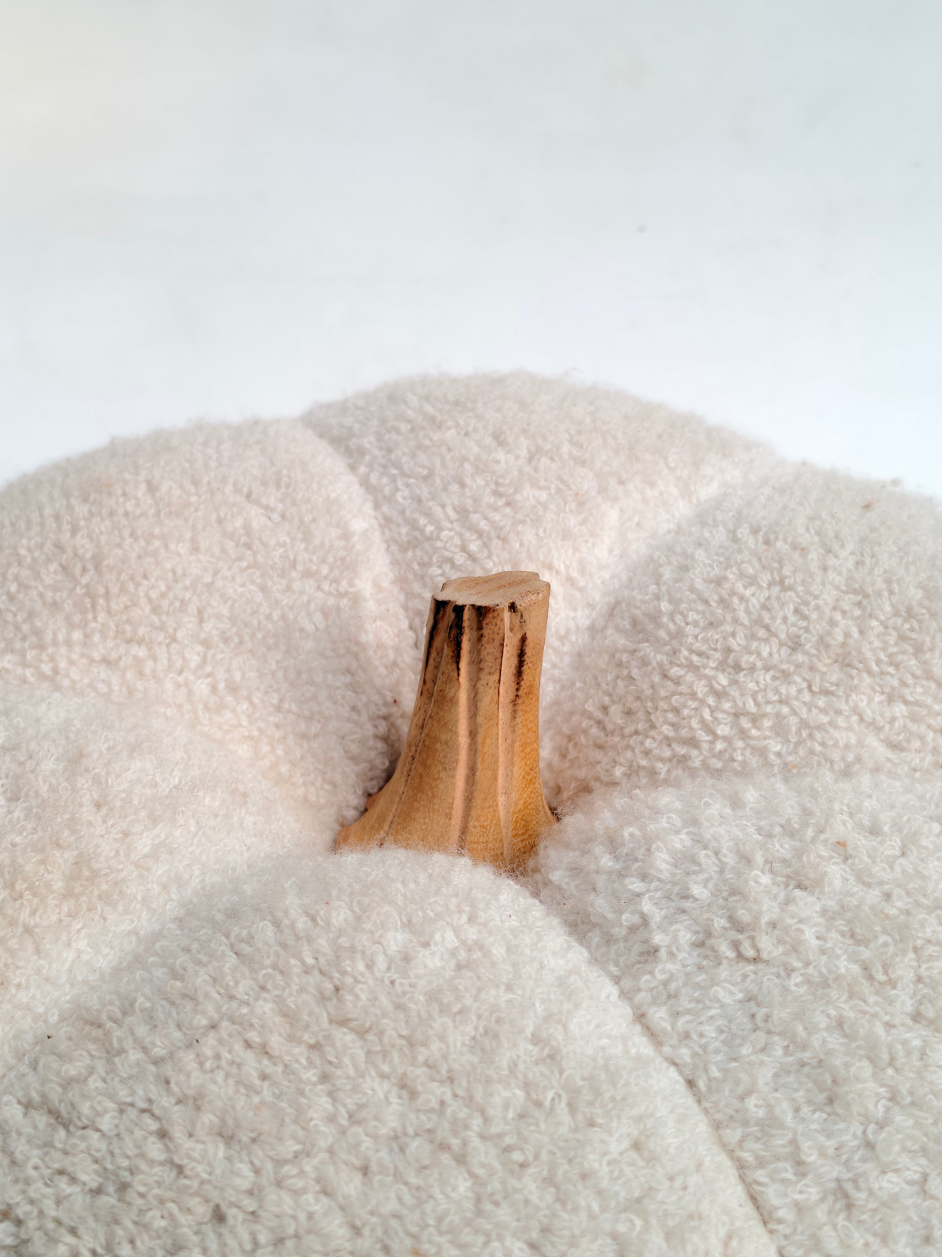 Handmade Off-White Teddy Pumpkin with Wooden Stem