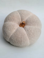 Handmade Off-White Teddy Pumpkin with Wooden Stem