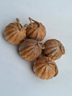 Wooden Hanging Ornaments