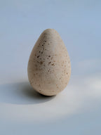 Natural Wood Speckled Decorative Eggs Set of 8