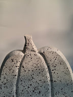 Speckled White Wooden Pumpkins