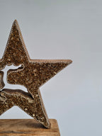 Golden Beaded Star with Reindeer Design on Wooden Base