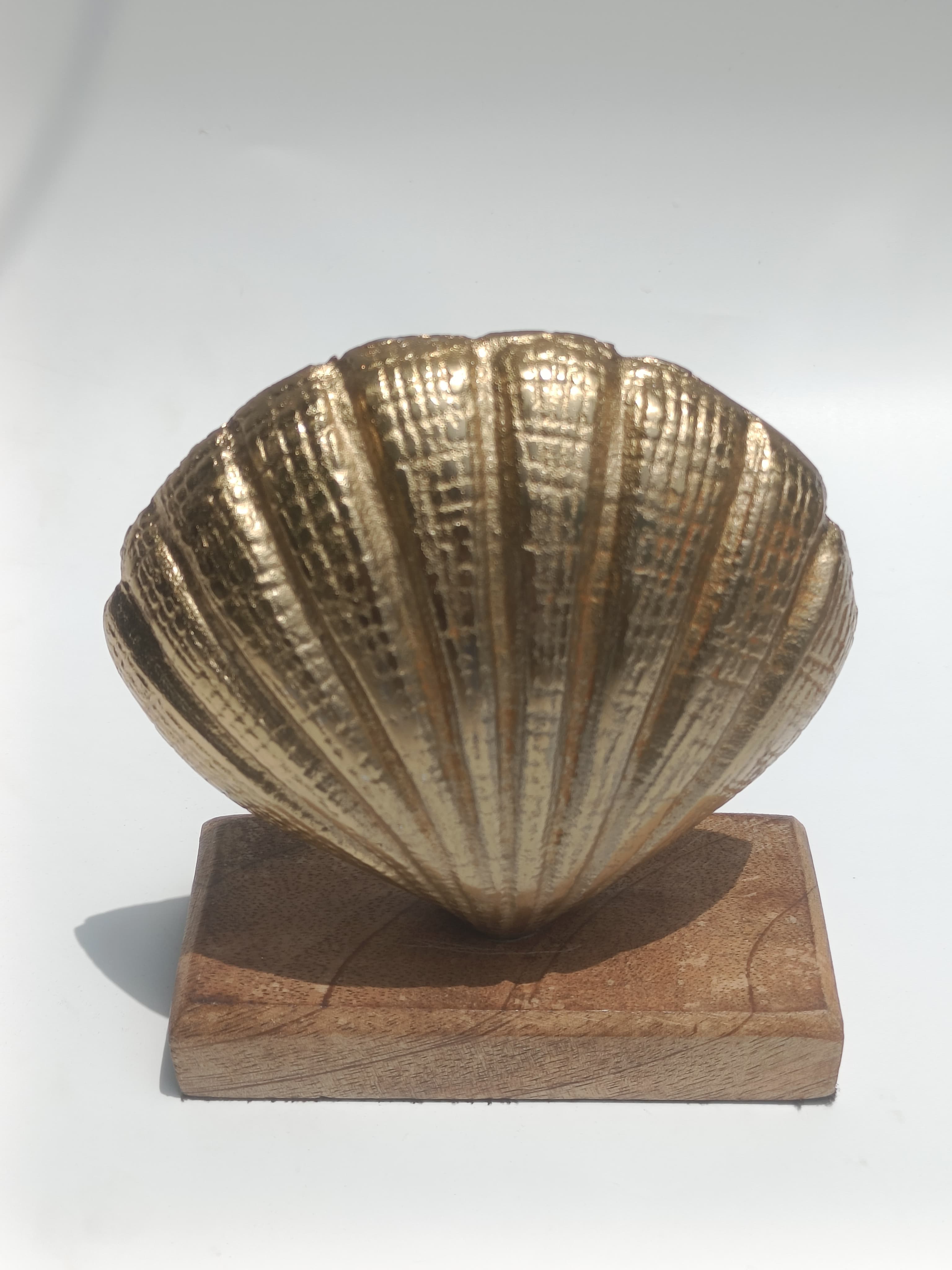 Luxe Seashell Sculptures