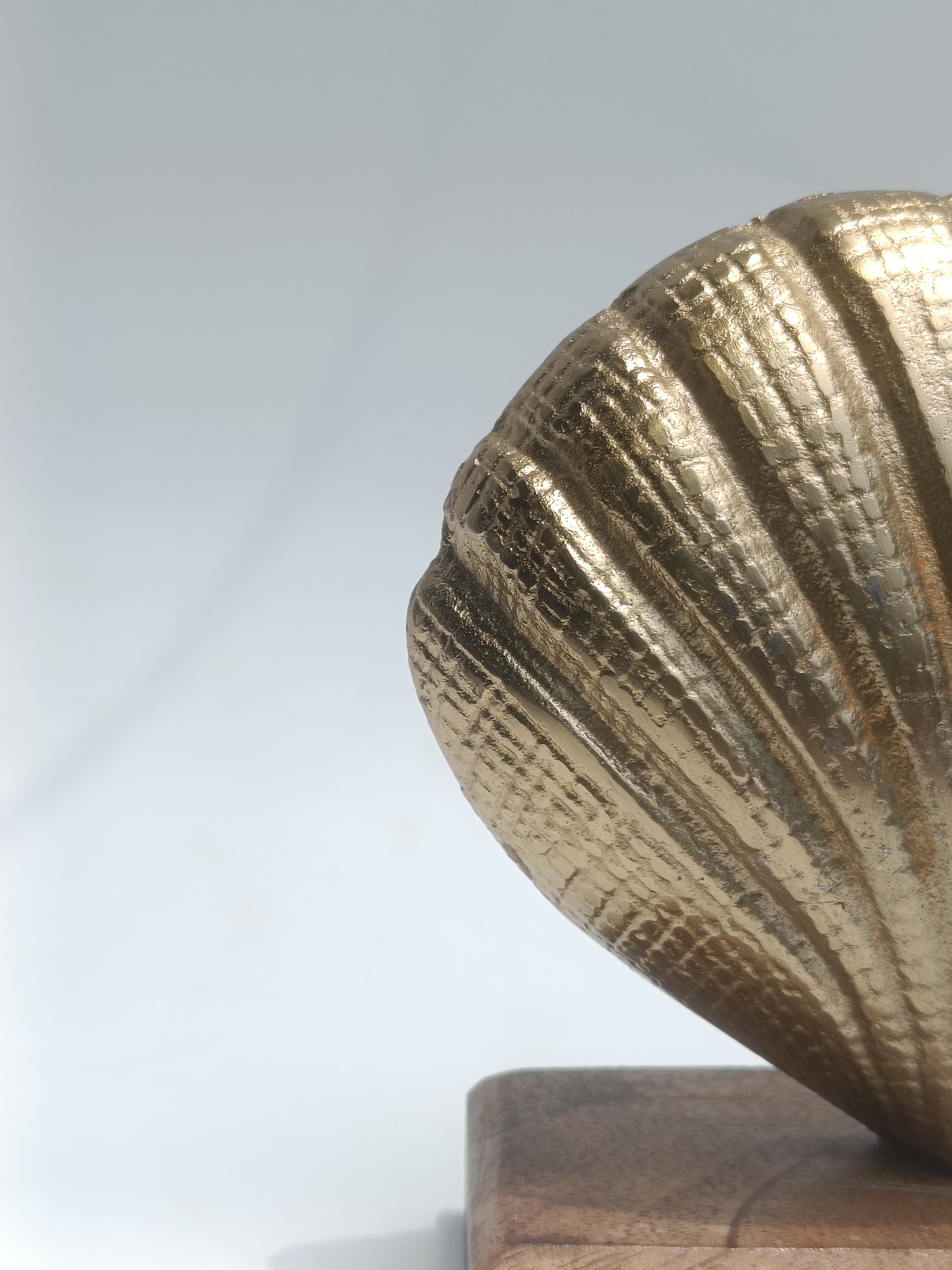 Luxe Seashell Sculptures