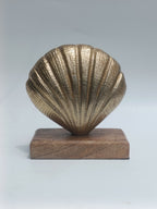Luxe Seashell Sculptures
